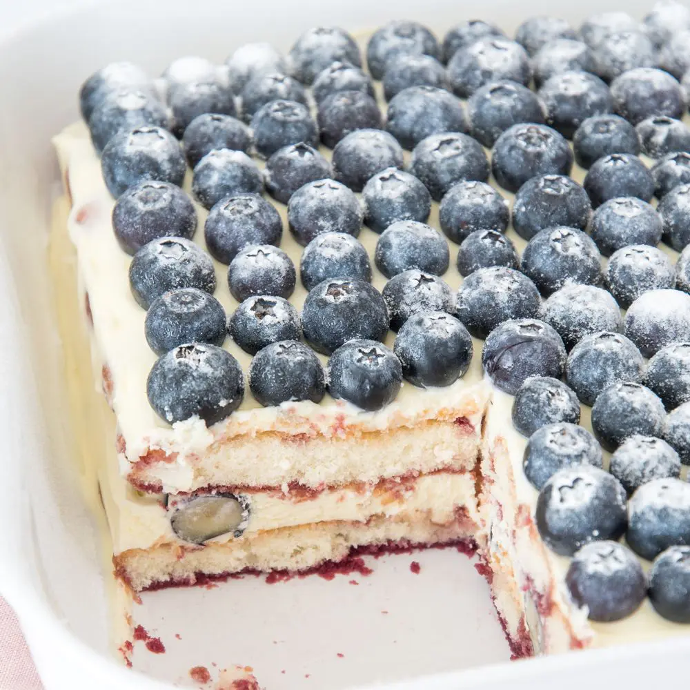 Blauwe Bessen Tiramisu Laura S Bakery